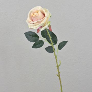 Kunstrose ELEAZAR, creme-rosa, 65cm Kunstrose ELEAZAR, creme-rosa, 65cm