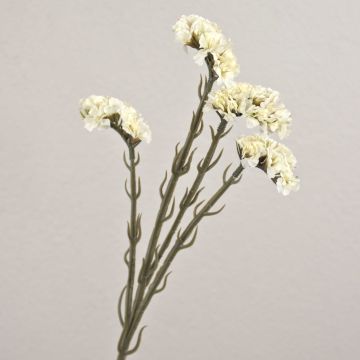 Dekoblume Strandflieder AYISHA, Trockenoptik, weiß, 65cm, 3,5x6cm