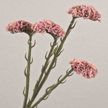 Dekoblume Strandflieder AYISHA, Trockenoptik, altrosa, 65cm, 3,5x6cm