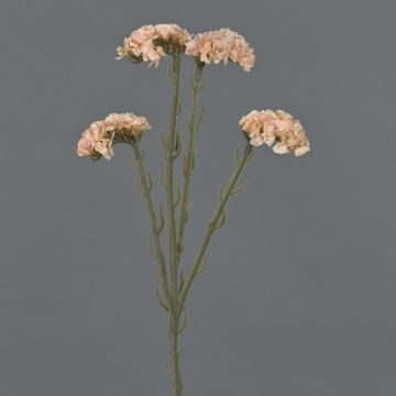 Dekoblume Strandflieder AYISHA, Trockenoptik, creme-rosa, 65cm, 3,5x6cm