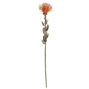 Dekoblume Nadelkissen Protea URMINE, Trockenoptik, orange, 60cm