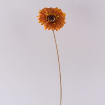 Dekoblume Gerbera TUNGUSKA, Trockenoptik, orange, 55cm, Ø11cm Dekoblume Gerbera TUNGUSKA, Trockenoptik, orange, 55cm, Ø11cm