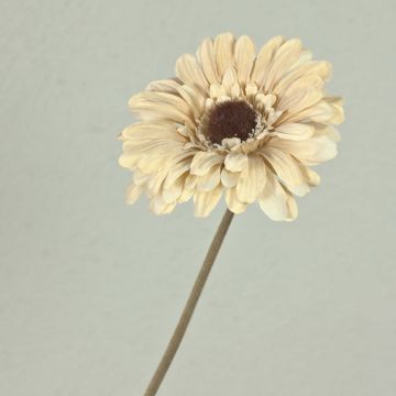 Dekoblume Gerbera TUNGUSKA, Trockenoptik, creme-beige, 55cm, Ø11cm