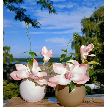 Kunstblume Magnolie FEMI im beigen Keramiktopf, aprikose, 20cm, Ø17cm