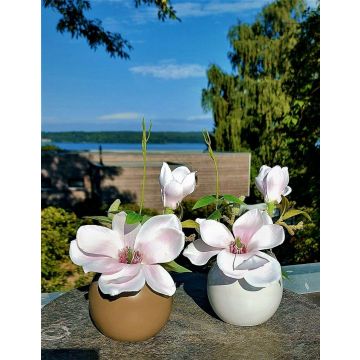 Kunstblume Magnolie FEMI im beigen Keramiktopf, zartrosa, 20cm, Ø17cm