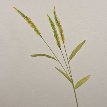 Kunstgras Liriope Zweig JELIKANTA mit Rispen, grün-braun, 60cm