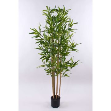 Kunst Baum Bambus SEUMAS, Naturstämme, 150cm Kunst Baum Bambus SEUMAS, Naturstämme, 150cm