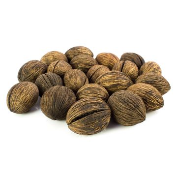 Mintola Trockenfrucht KARABO, braun, 20 Stück, 5x6cm