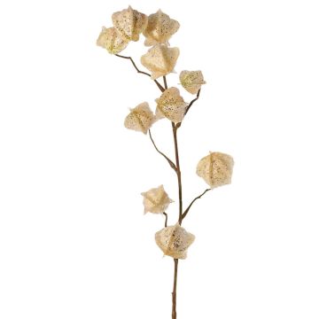 Kunst Physalis Zweig AINOS, Früchte, Glitzer, creme, 80cm Kunst Physalis Zweig AINOS, Früchte, Glitzer, creme, 80cm