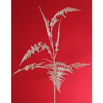 Kunst Asparagus plumosus Zweig GIONA, silber, 85cm