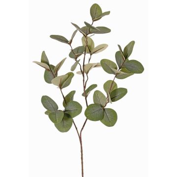Künstlicher Zweig Eukalyptus EMMENDA, grün, 80cm Künstlicher Zweig Eukalyptus EMMENDA, grün, 80cm