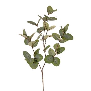 Künstlicher Zweig Eukalyptus EMMENDA, grün, 80cm