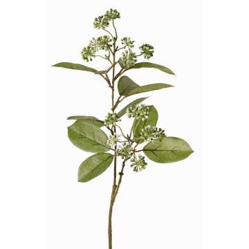 Künstlicher Hartriegel Zweig PANGO mit Knospen, grün-weiß, 70cm, Ø7cm Künstlicher Hartriegel Zweig PANGO mit Knospen, grün-weiß, 70cm, Ø7cm