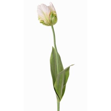 Textilblume Papageientulpe UAKARI, weiß-grün, 65cm, Ø6cm