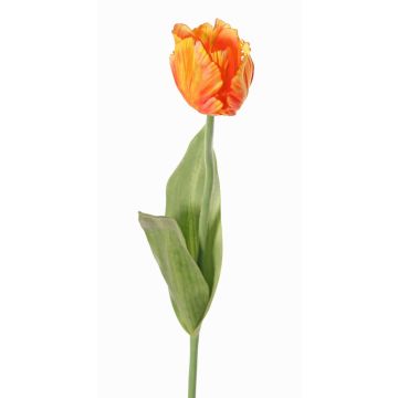 Textilblume Papageientulpe UAKARI, orange-gelb, 65cm, Ø6cm Textilblume Papageientulpe UAKARI, orange-gelb, 65cm, Ø6cm