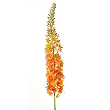 Unechte Steppenkerze SELINA, orange, 130cm, Ø9cm