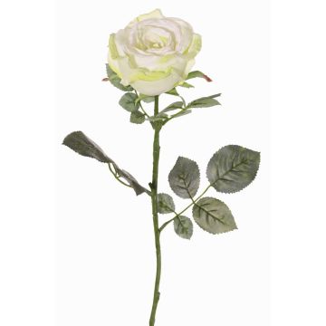 Samt Rose HUSA, weiß-grün, 75cm, Ø10cm Samt Rose HUSA, weiß-grün, 75cm, Ø10cm