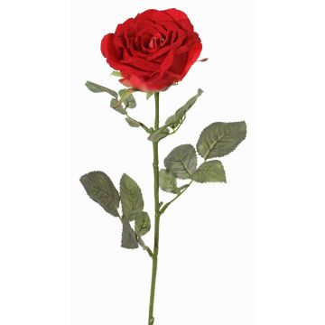 Samt Rose HUSA, rot, 75cm, Ø10cm Samt Rose HUSA, rot, 75cm, Ø10cm
