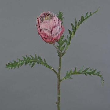 Künstliche Protea BREGANSA, altpink, 65cm, Ø7cm