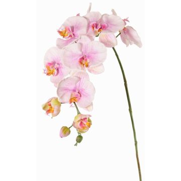 Künstlicher Blumenzweig Phalaenopsis Orchidee WESA, rosa-weiß, 90cm, Ø11-12,5cm Künstlicher Blumenzweig Phalaenopsis Orchidee WESA, rosa-weiß, 90cm, Ø11-12,5cm