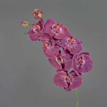 Künstlicher Blumenzweig Phalaenopsis Orchidee WESA, dunkelviolett-weiß, 90cm, Ø11-12,5cm