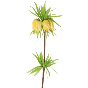Dekoblume Kaiserkrone IMST, gelb, 65cm, Ø11cm Dekoblume Kaiserkrone IMST, gelb, 65cm, Ø11cm