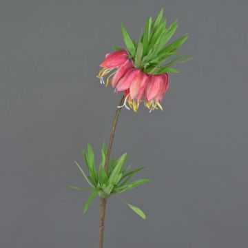 Dekoblume Kaiserkrone IMST, pink, 65cm, Ø11cm