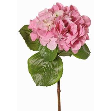 Künstliche Hortensie CHIDORI, rosa-creme, 60cm, Ø18cm Künstliche Hortensie CHIDORI, rosa-creme, 60cm, Ø18cm