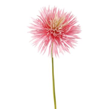 Kunst Chrysantheme NANDITA, rosa-creme, 60cm, Ø15cm Kunst Chrysantheme NANDITA, rosa-creme, 60cm, Ø15cm