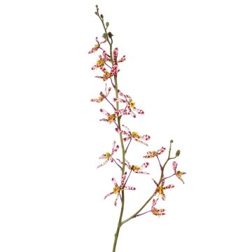 Künstlicher Blumenzweig Cattleya Orchidee TRASSA, violett-weiß-gelb, 80cm, Ø4-8cm Künstlicher Blumenzweig Cattleya Orchidee TRASSA, violett-weiß-gelb, 80cm, Ø4-8cm