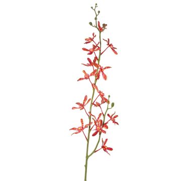 Künstlicher Blumenzweig Cattleya Orchidee TRASSA, rot-orange, 80cm, Ø4-8cm Künstlicher Blumenzweig Cattleya Orchidee TRASSA, rot-orange, 80cm, Ø4-8cm