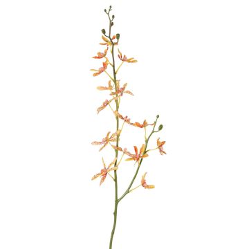 Künstlicher Blumenzweig Cattleya Orchidee TRASSA, orange-gelb-rot, 80cm, Ø4-8cm Künstlicher Blumenzweig Cattleya Orchidee TRASSA, orange-gelb-rot, 80cm, Ø4-8cm