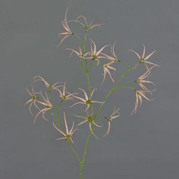 Künstliche Tweedia solanoides Zweig TOSAR, rosa-grün, 70cm, Ø6-9cm