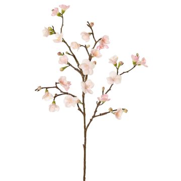 Deko Apfelblütenzweig SADAKA, blühend, hellrosa, 70cm, Ø3-4cm Deko Apfelblütenzweig SADAKA, blühend, hellrosa, 70cm, Ø3-4cm