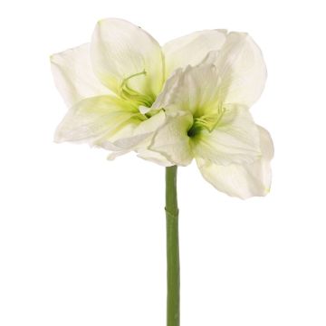 Künstliche Amaryllis NARWELA, weiß-grün, 70cm, Ø10-13cm Künstliche Amaryllis NARWELA, weiß-grün, 70cm, Ø10-13cm