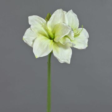 Künstliche Amaryllis NARWELA, weiß-grün, 70cm, Ø10-13cm