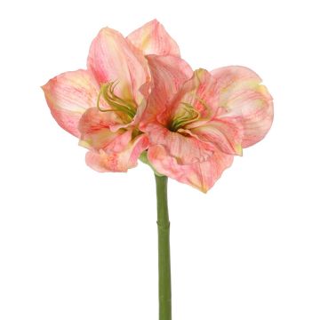 Künstliche Amaryllis NARWELA, pink-rosa-creme, 70cm, Ø10-13cm