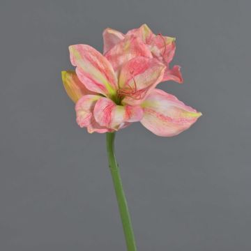 Künstliche Amaryllis NARWELA, pink-rosa-creme, 70cm, Ø10-13cm