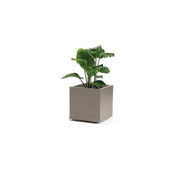 Eckiger Pflanzkübel NASTASJA aus recyceltem Kunststoff, mit Wasserspeicher, Bodenrollen, taupe, 39,5x39,5x38cm, 35L