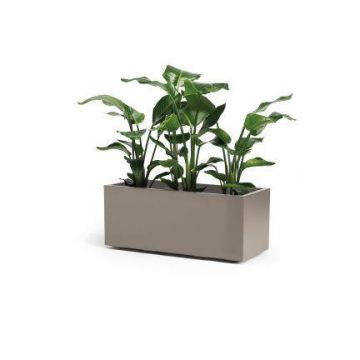 Rechteckiger Pflanzkasten NASTASJA aus recyceltem Kunststoff, mit Wasserspeicher, Bodenrollen, taupe, 99,5x39,5x38cm, 102L