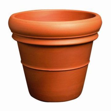 Terrakotta Blumentopf LUTHEN mit Doppelrand, outdoor, 74cm, Ø90cm Terrakotta Blumentopf LUTHEN mit Doppelrand, outdoor, 74cm, Ø90cm