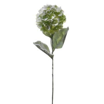 Künstliche Blume Hortensie TILANNA, beschneit, grün, 70cm Künstliche Blume Hortensie TILANNA, beschneit, grün, 70cm
