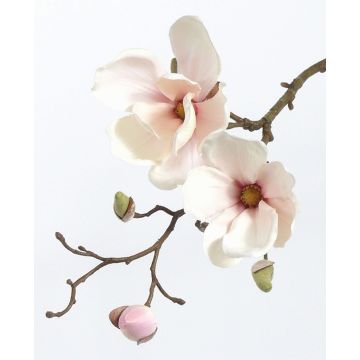 Kunstblume Magnolie MALBINE, weiß-rosa, 50cm, Ø7-10cm Kunstblume Magnolie MALBINE, weiß-rosa, 50cm, Ø7-10cm