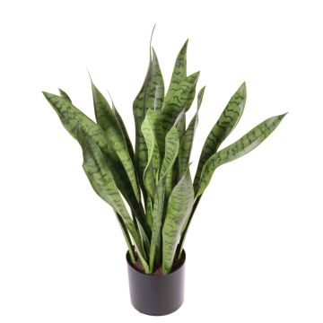 Kunst Sansevieria BEYZA, grün, 80cm Kunst Sansevieria BEYZA, grün, 80cm