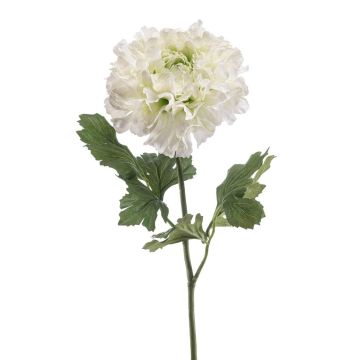 Unechte Ranunkel ULISAN, creme-grün, 60cm, Ø14cm Unechte Ranunkel ULISAN, creme-grün, 60cm, Ø14cm