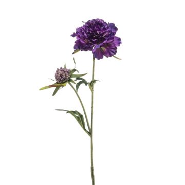 Unechter Zweig Scabiosa BASOLO, dunkelviolett, 55cm Unechter Zweig Scabiosa BASOLO, dunkelviolett, 55cm