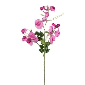 Kunstzweig Lathyrus latifolius PLENVO, rosa, 75cm