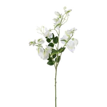 Kunstzweig Lathyrus latifolius PLENVO, weiß, 75cm