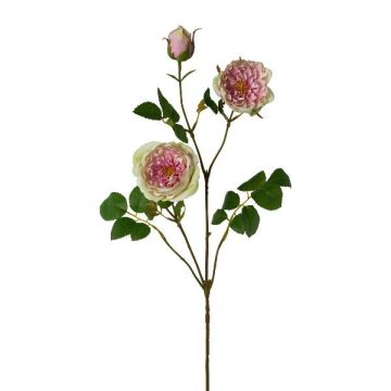 Künstlicher Zweig Pfingstrose KROVEL, grün-rosa, 75cm