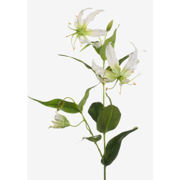 Künstliche Blume Gloriosa FUJITA, creme-grün, 80cm, Ø15cm